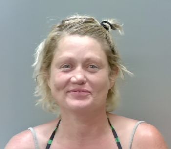 Traci Dana Wilkerson Mugshot