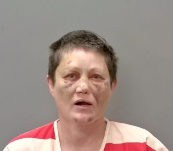 Traci Dana Wilkerson Mugshot