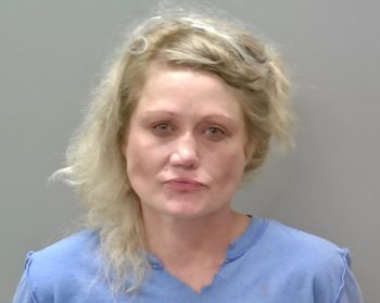 Traci Deanna Wilkerson Mugshot