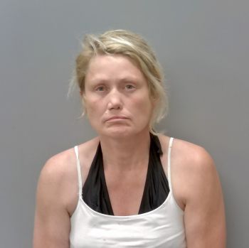 Traci Deanna Wilkerson Mugshot