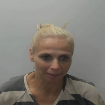 Tracy Lynn Brown Mugshot