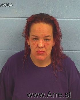 Tracy Lynn Hopkins Mugshot