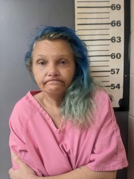 Tracy Nicole Rushing Wilson Mugshot