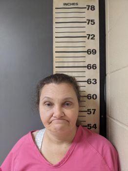 Tracy Nicole Wilson Mugshot