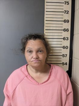 Tracy Nichole Wilson Mugshot