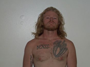 Trevor Dalton Walker Mugshot