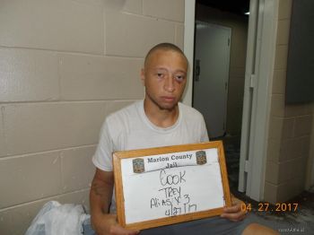 Trey  Cook Mugshot