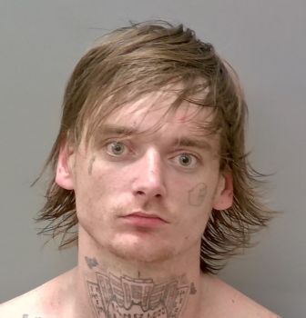 Tyler Anthony Brayton Mugshot