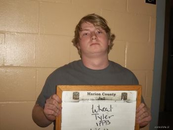 Tyler  Wheat Mugshot