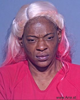 Ulanda Rena James Mugshot