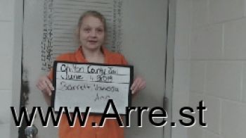 Vanessa Ann Barrett Mugshot