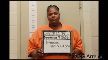 Venice Larisha Johnson Mugshot