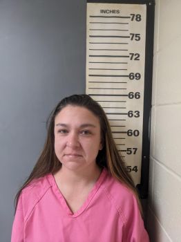 Victoria Leigh Davis Mugshot