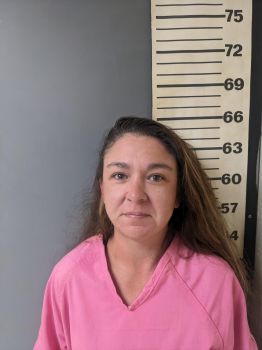 Victoria Leigh Davis Mugshot