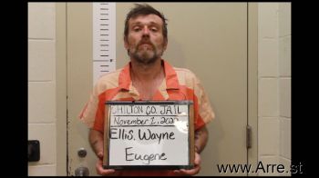 Wayne Eugene Ellis Mugshot