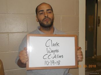 Wayne  Clark Mugshot