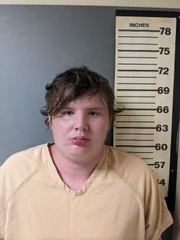 Wesley Stephen Howell Mugshot