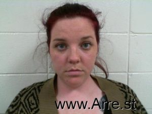 Amanda Polson Arrest Mugshot