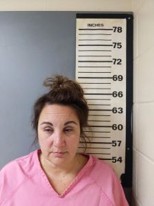 Alicia Hollon Arrest