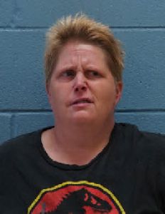 Ann Rachel Arrest Mugshot