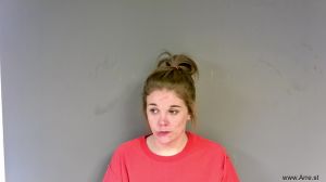 Ashley Brice Arrest Mugshot