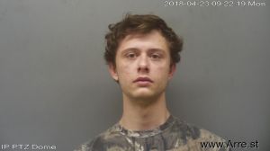 Brandon Hale Arrest Mugshot