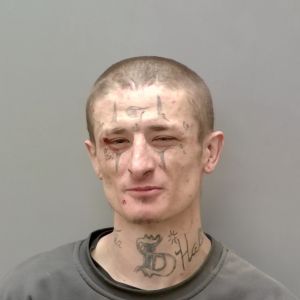 Bo Curtis Arrest Mugshot