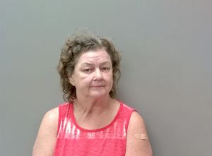 Brenda Hanvey Arrest Mugshot