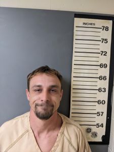 Bryan Bertona Arrest