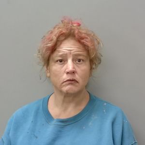 Carolyn Shinn Arrest Mugshot