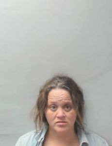 Cindy Shierling Arrest Mugshot