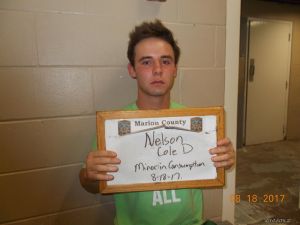 Cole Nelson Arrest Mugshot
