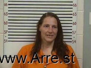 Debra Hudson Arrest Mugshot