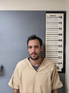 Dakota Cleland Arrest