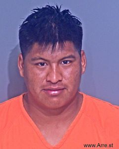 Diego Francisco Arrest Mugshot