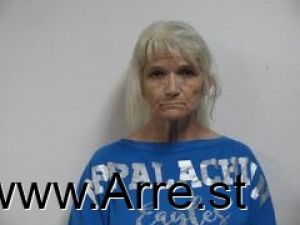 Elizabeth Hampton Arrest Mugshot