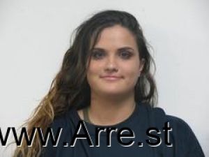 Elizabeth Lichenstein Arrest Mugshot