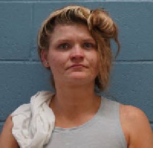 Elizabeth Sheri Arrest Mugshot