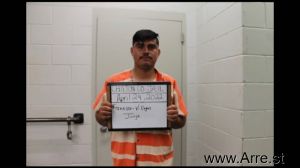 Jorge Francisco-villegas Arrest Mugshot