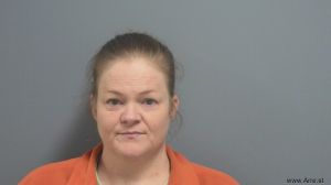 Julie Miller Arrest Mugshot