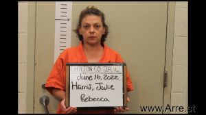 Julie Harris Arrest Mugshot