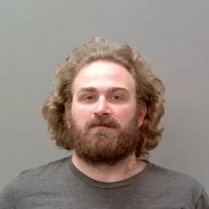 Jacob Anderson Arrest Mugshot