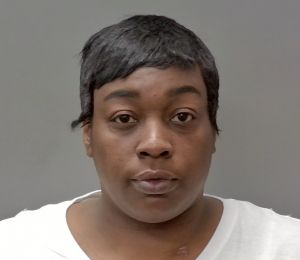 Jessica Houston Arrest