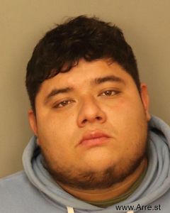 Johan Torres Arrest Mugshot