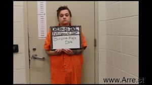 Kayla Burdine Arrest Mugshot