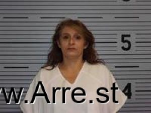 Lisa Castle Arrest Mugshot