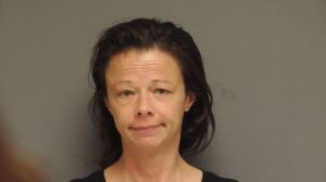 Lisa Ashford Arrest