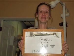Lois Gibson Arrest Mugshot