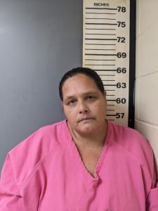 Lori Hunter Arrest Mugshot