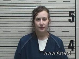 Megan Robinson Arrest Mugshot